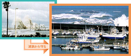 �Ôg������