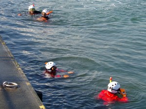 水難事故を想定して人工海浜の水域で川崎市幸消防署水難救助隊による潜水訓練が行われました。