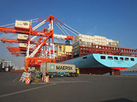 ��{�q�ӓ�(���l�`�j�ɂ�����ז��󋵁i�_�ސ쌧���l�s�j