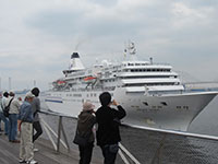 �傳�񋴍��ۗ��q�D�^�[�~�i���i���l�`�j�ɒ��݂���u�ς��ӂ������т��Ȃ��v�i�_�ސ쌧���l�s�j